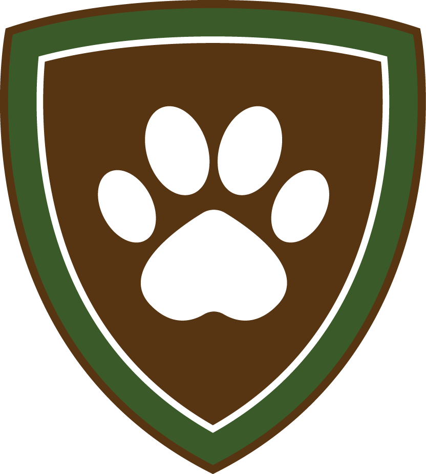 campk9 logo web icon